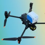 秋高氣爽，又是一年重陽……